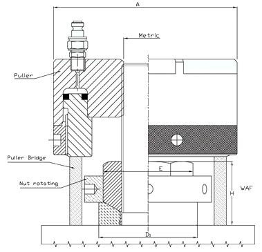 TH Standard image