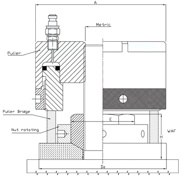 TH Standard image